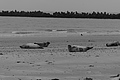 Bernhard Saalfeld - L1000768.JPG