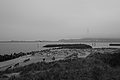 Bernhard Saalfeld - L1000782.JPG
