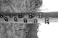 Bernhard Saalfeld - L1000789.JPG