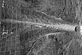 Bernhard Saalfeld - L1000796.JPG