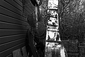 Bernhard Saalfeld - L1000812.JPG