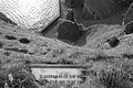 Bernhard Saalfeld - L1000848.JPG
