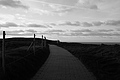Bernhard Saalfeld - L1000849.JPG