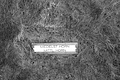 Bernhard Saalfeld - L1000854.JPG