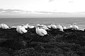 Bernhard Saalfeld - L1000859.JPG