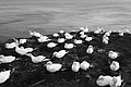 Bernhard Saalfeld - L1000874.JPG