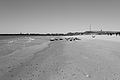 Bernhard Saalfeld - L1000902.JPG