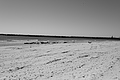 Bernhard Saalfeld - L1000904.JPG