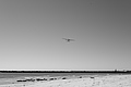 Bernhard Saalfeld - L1000905.JPG