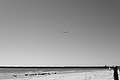 Bernhard Saalfeld - L1000906.JPG