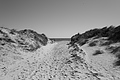 Bernhard Saalfeld - L1000914.JPG