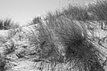 Bernhard Saalfeld - L1000918.JPG