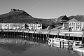 Bernhard Saalfeld - L1000941.JPG