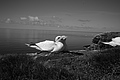 Bernhard Saalfeld - L1000952.JPG