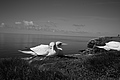Bernhard Saalfeld - L1000953.JPG