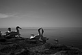 Bernhard Saalfeld - L1000954.JPG