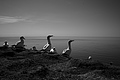 Bernhard Saalfeld - L1000956.JPG