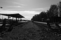 Bernhard Saalfeld - L1000966.JPG