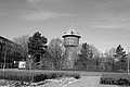 Bernhard Saalfeld - L1000968.JPG