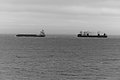 L1003951_t.JPG