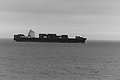 L1003952_t.JPG