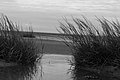 Bernhard Saalfeld - L1003978.JPG
