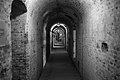 Bernhard Saalfeld - L1004010.JPG