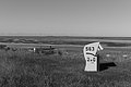Bernhard Saalfeld - L1004028.JPG