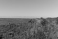 Bernhard Saalfeld - L1004030.JPG