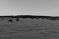 Bernhard Saalfeld - L1004042.JPG