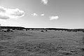 Bernhard Saalfeld - L1004046.JPG