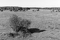 Bernhard Saalfeld - L1004048.JPG