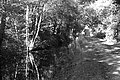 Bernhard Saalfeld - L1004055.JPG