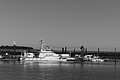 Bernhard Saalfeld - L1004070.JPG