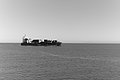 Bernhard Saalfeld - L1004078.JPG