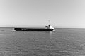Bernhard Saalfeld - L1004081.JPG
