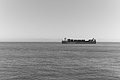 Bernhard Saalfeld - L1004084.JPG