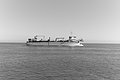 Bernhard Saalfeld - L1004086.JPG