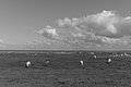 Bernhard Saalfeld - L1004102.JPG