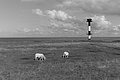Bernhard Saalfeld - L1004105.JPG