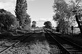 Bernhard Saalfeld - L1004124.JPG