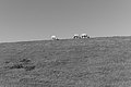 Bernhard Saalfeld - L1004128.JPG