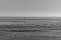 Bernhard Saalfeld - L1004143.JPG
