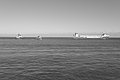 Bernhard Saalfeld - L1004174.JPG