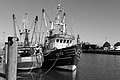 Bernhard Saalfeld - L1004178.JPG