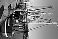 Bernhard Saalfeld - L1004179.JPG