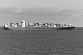 Bernhard Saalfeld - L1004186.JPG