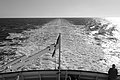 Bernhard Saalfeld - L1004194.JPG