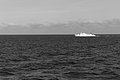 Bernhard Saalfeld - L1004200.JPG