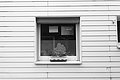 Bernhard Saalfeld - L1004256.JPG